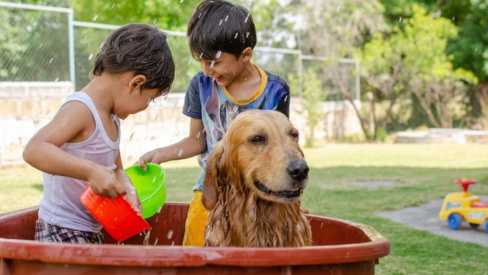 dog and two kids in a red pool outside playing with water