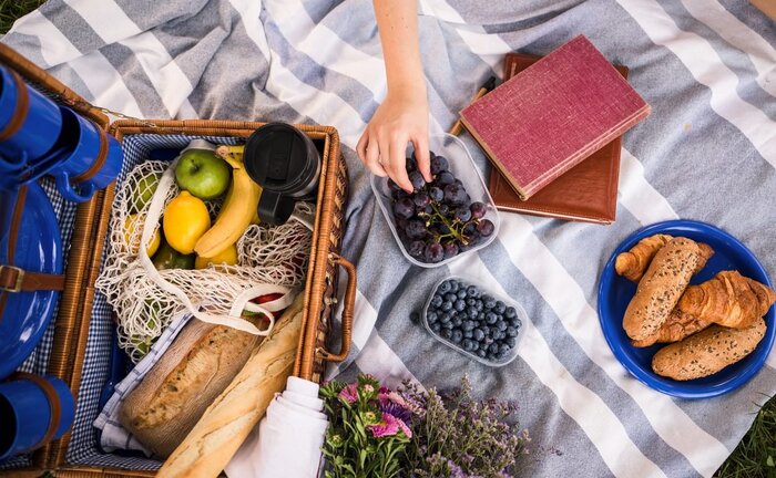 instagrammable picnic ideas picnic spread with a basket full of food two books and a hand grabbing some grapes
