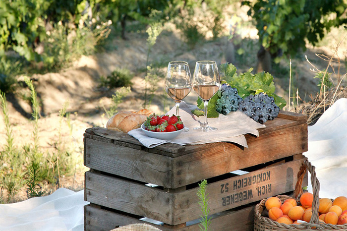 summer picnic outside in the vines a palette with fruits on it and two glasses of wine