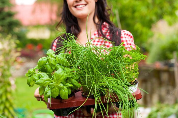 woman with dark hair in a red and white dress smiling and holding planters of herbs in her garden