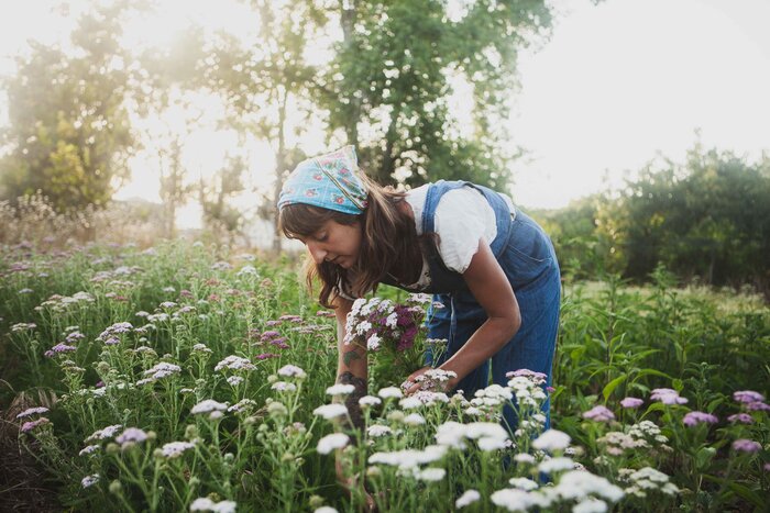 woman with a scarf on her head bending down picking yarrow in a field