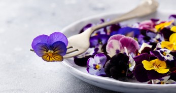 Edible,Flowers,,Field,Pansies,,Violets,On,White,Plate.,Grey,Background.