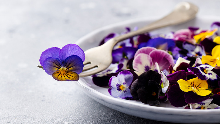 Edible,Flowers,,Field,Pansies,,Violets,On,White,Plate.,Grey,Background.