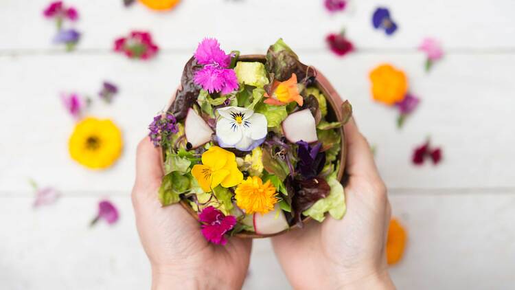 Woman's hands holding bowl of salad with edible flowers on a white background with flowers scattered around