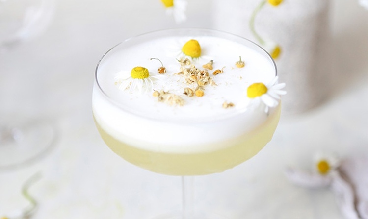 white lemon cocktail with chamomile in it on a white background