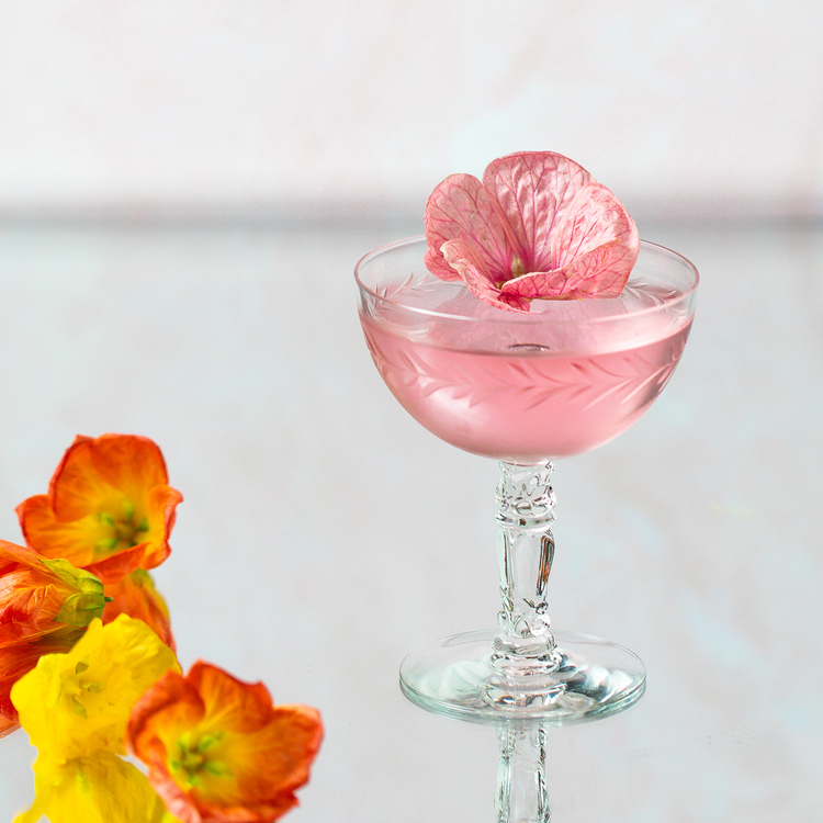 hibiscus martini cocktail in a transparent glass decorated with flowers